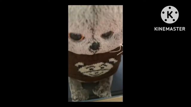 Кафе для басиков 💓 смотреть онлайн