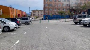 Цены на свежую рыбу на улицах и  на рынке «Урожай» Магадана. Чудо рыба-морская собака и камбала.