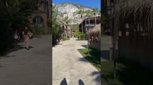 Турция 2024 Golden Sun 4* Территория