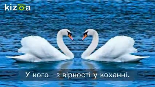 Ліна Костенко "Крила" смотреть онлайн