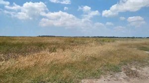 Прогулка по берегу Скадовск