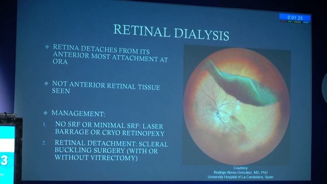 AIOC2023 - GP165 - Retina Subspeciality Capsule - Section 1 : MY VIP PATIENT WITH A RETINA SYMPTOM смотреть онлайн