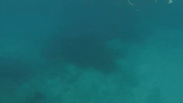 ОСТРОВ ТИОМАН 2016 ТУРТЛЕС смотреть онлайн