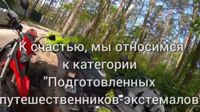 Техники экстремального выживания в лесу смотреть онлайн