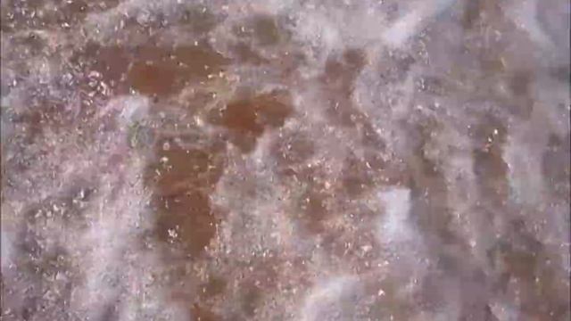 Витязево 2011 смотреть онлайн