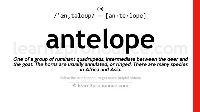 Pronunciation of Antelope | Definition of Antelope смотреть онлайн