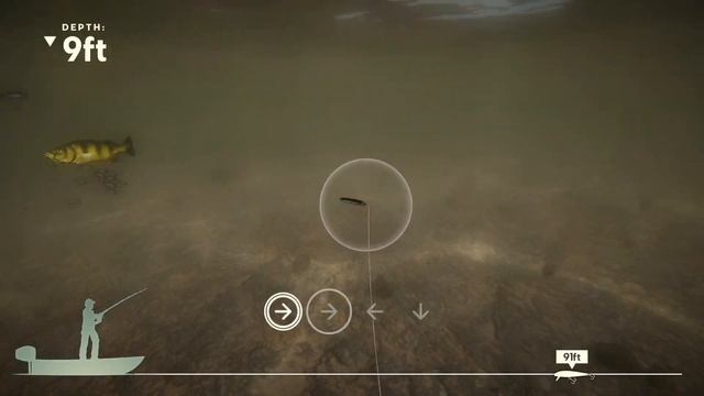 Peacock Hunting : Rapala Pro Series Fishing смотреть онлайн