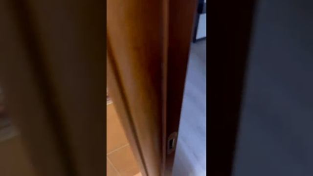 video_2025-04-24_15-19-36 смотреть онлайн