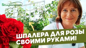 Розы будут расти лучше! / Ученицы Strogoorganic