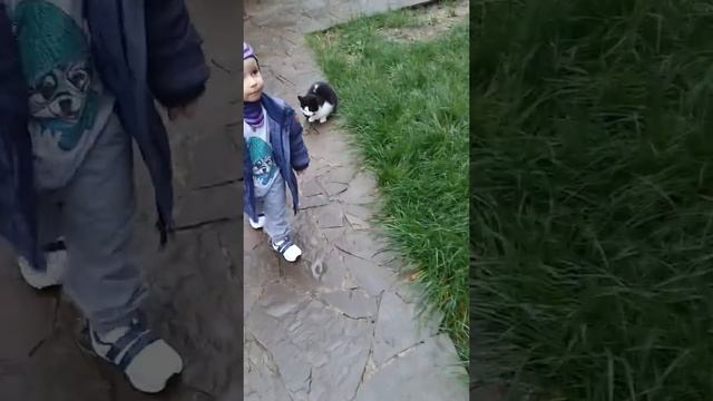 Сочи. Просперус.3 этаж.Вот она! киса! смотреть онлайн