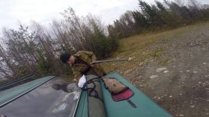 Охота 2015 (отстрел дымного пороха)