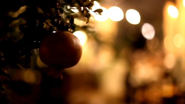 Public Summer Cafe_Footage 043_Pomegranat tree_Городское летнее кафе_Гранат_Вечерний ТельАвив смотреть онлайн