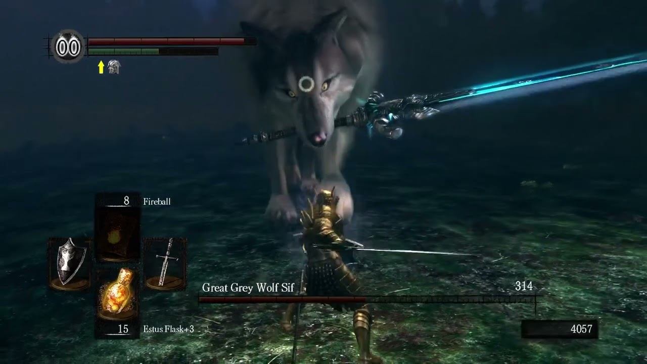 Dark Souls: Prepare to Die Edition (Walkthrough) #20