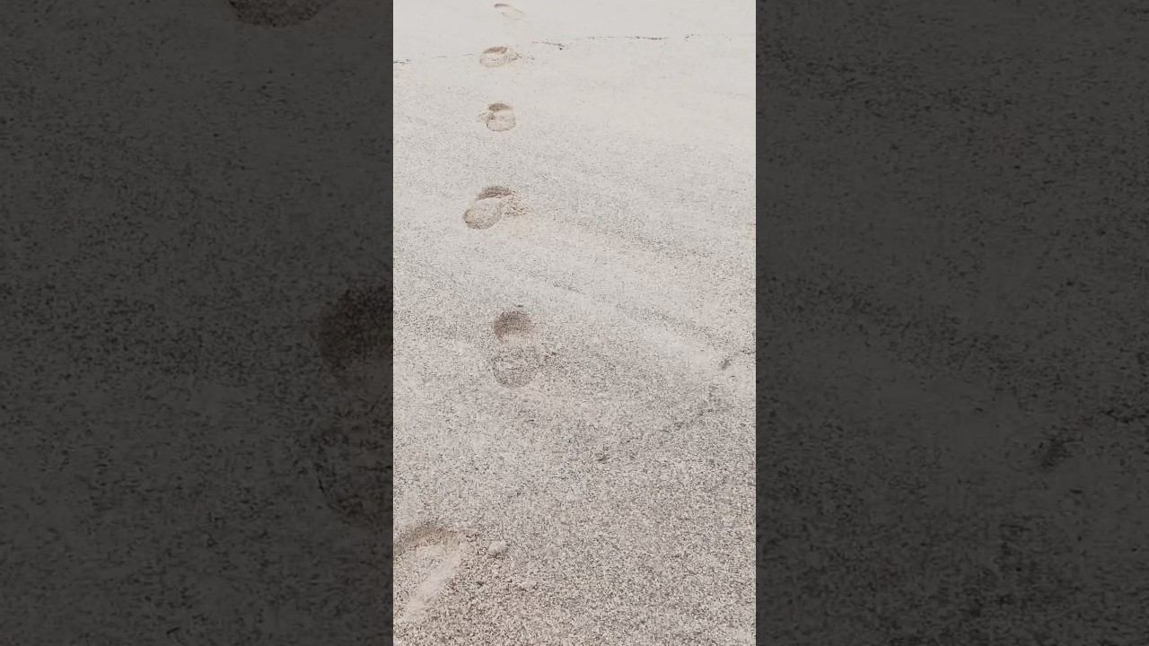 Мне сниться, что я снова хожу смотреть онлайн