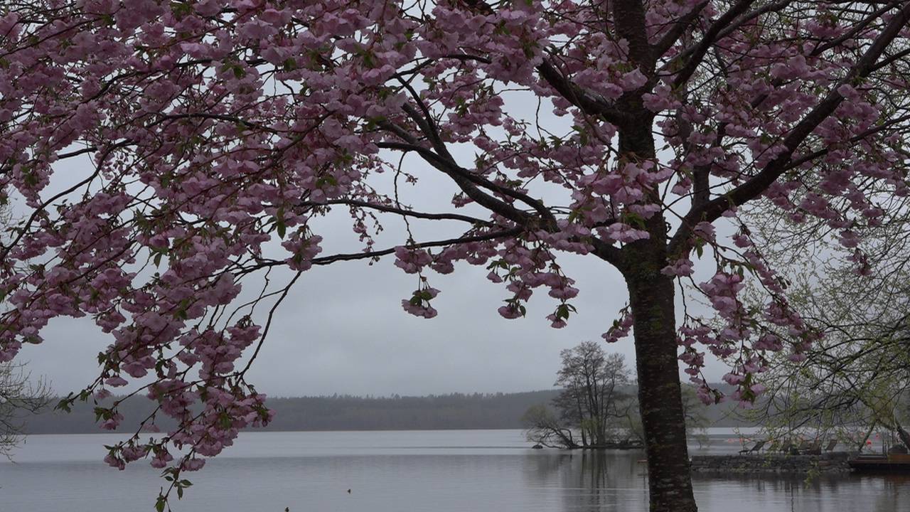 Сигтуна-Столица Викингов из Вольво ( Www.Scandinavian.Tours +46700396965 )