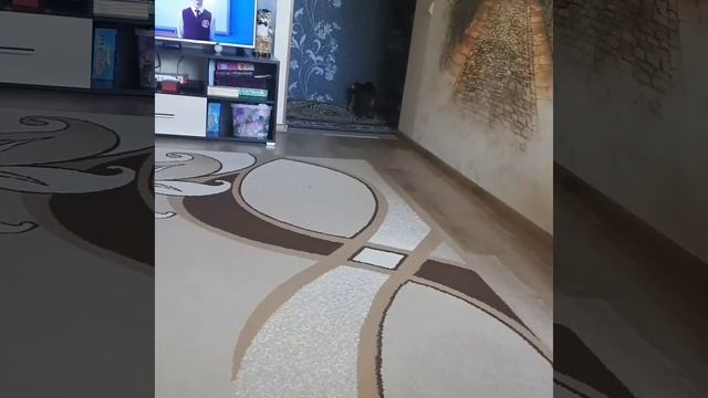 КОТ ПРИНОСИТ ТАПОЧКИ смотреть онлайн