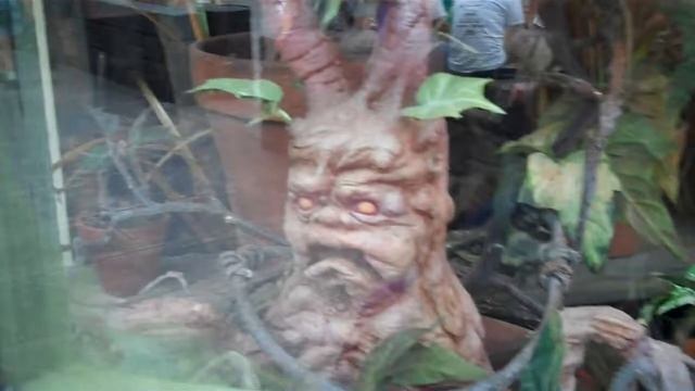 The Wizarding World of Harry Potter - Singing Mandrake смотреть онлайн