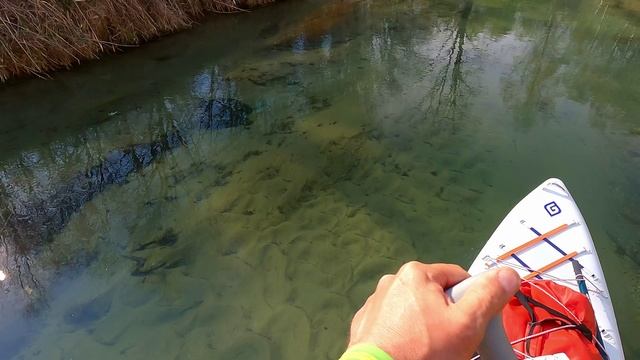 15 минут приключений носика сапа на реке Суринь смотреть онлайн