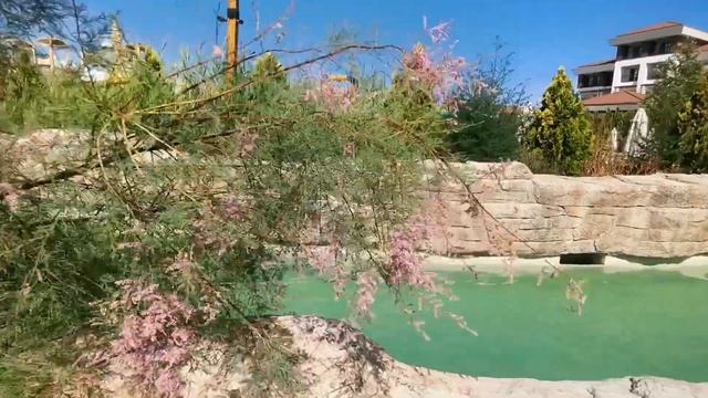 АКВАПАРК В RIXOS WATER WORLD AKTAU. Чем кормят на завтрак и ужин в Риксос Актау? смотреть онлайн