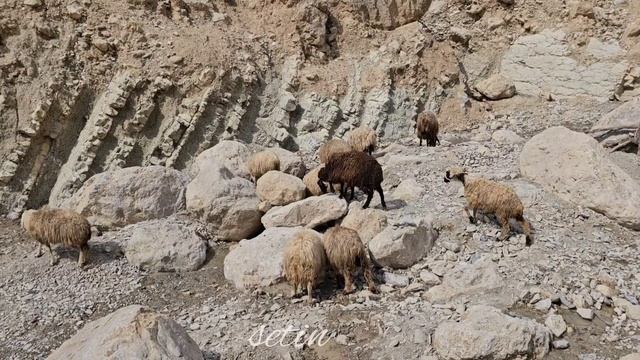 "A Construction Journey: Building Homes and Savoring Grandma's Culinary Magic" смотреть онлайн