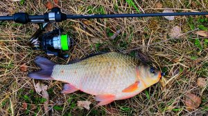 ОГРОМНЫЕ РЫБЫ на МИКРОДЖИГ Рыбалка на спиннинг Мормышинг ловит любую рыбу