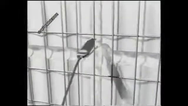Строить быстро и качественно, а самое главное бюджетная стоимость смотреть онлайн