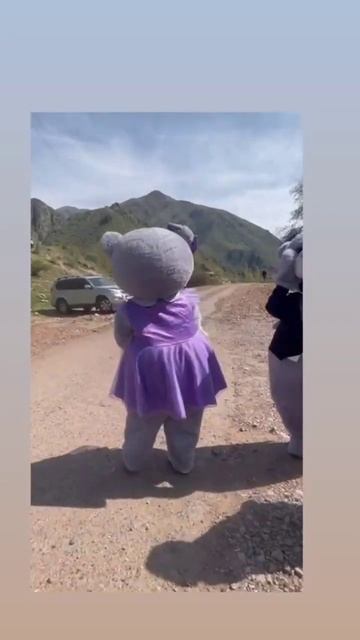 Меркі тау Тедди мишки Прокатқа беріледі Меркі #frends #trend #happy #merki #happybirthday смотреть онлайн