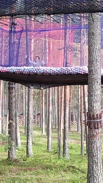 Зоопарк Шишки на Лампушке смотреть онлайн