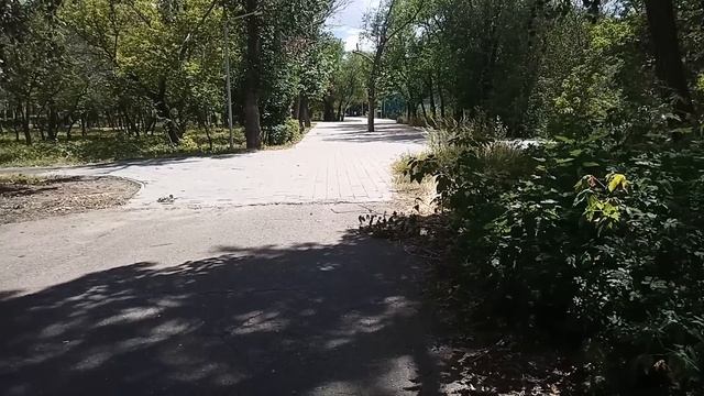 Не может быть. Неужели мой муж завел любовницу. Проверим… – Анна залезла в шкаф и притаилась смотреть онлайн