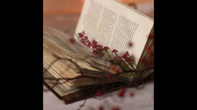 фотография вложена в старую книжку