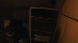 Море леса🌲