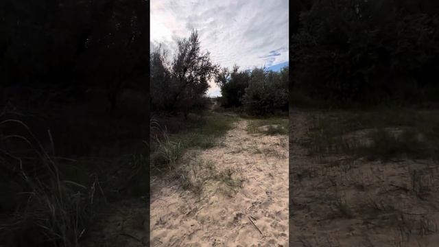 Гостивой дом «Золотистый» по прямой к морю смотреть онлайн