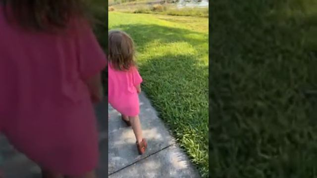 #walkthrough #gator #snake #bridge #red #ants #and #flowers #fun #love #like #share #nature #kids смотреть онлайн