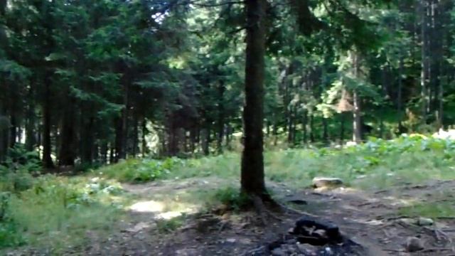 Карпати-2016.Т/С Заросляк. Наметове містечко. Зламані багажники. Кінець 26денного велопоходу. смотреть онлайн