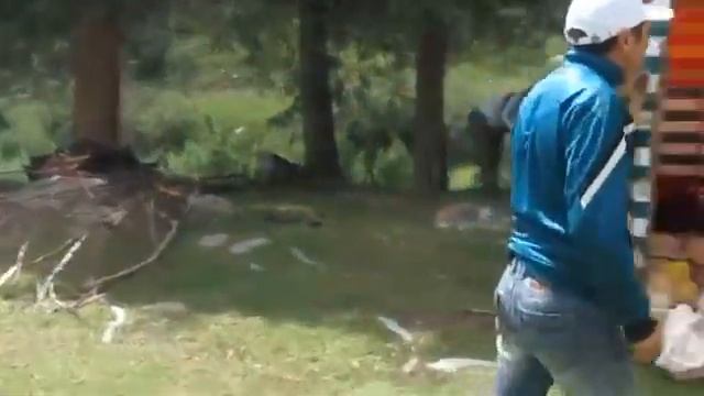 Темировка 82 Асылбек 32 жаш смотреть онлайн