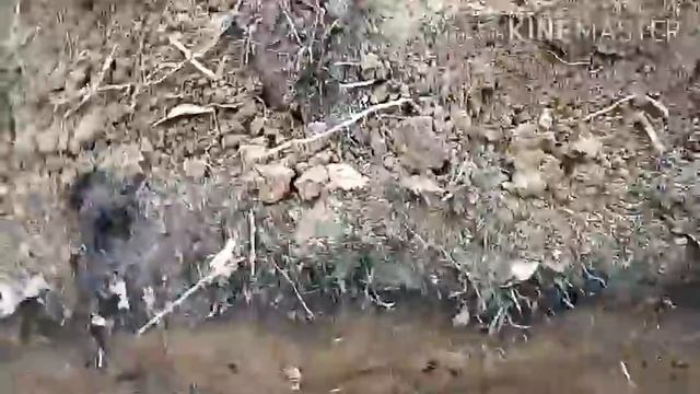 Выживание в лесу[Часть2]Построили землянку! смотреть онлайн