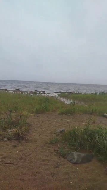 #увильды #туман #озеро #отдых #shortvideo #top #adventure #nature #rider #travel #travel #подпишис смотреть онлайн
