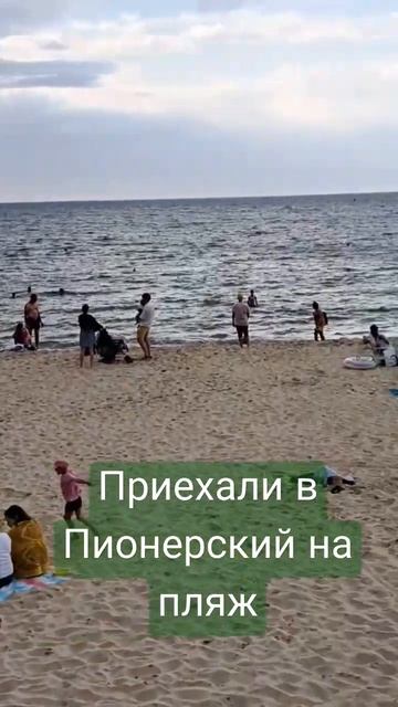 Пляж в Пионерском смотреть онлайн