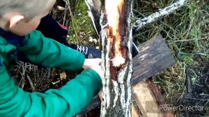 Строим базу в лесу