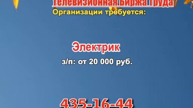 18 сентября _08.30_Работа в Нижнем Новгороде_Телевизионная Биржа Труда смотреть онлайн