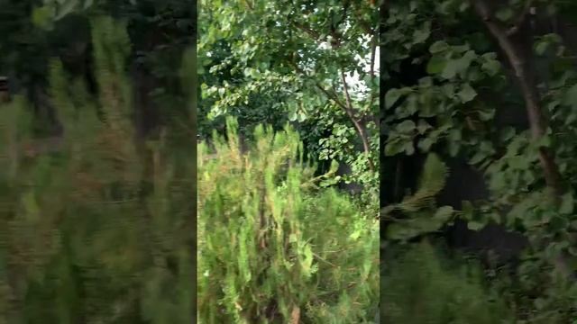 Дача - дом на Кильчени смотреть онлайн