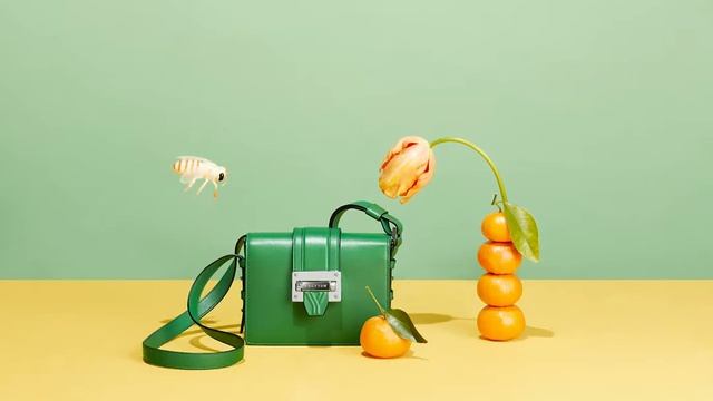 Photographer Melissa O'Hearn LIME MINI