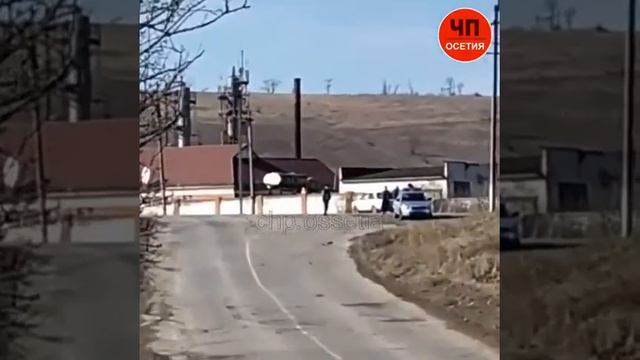 Это Осетия детка😢🤣🤣 смотреть онлайн