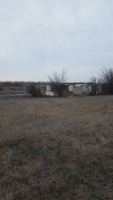 Ястреба на руку смотреть онлайн