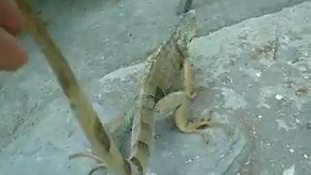 дивноморск 2011 135_mpeg4.mp4 смотреть онлайн