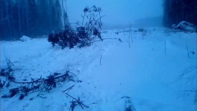 ЮМЗ работа в делянке трелевка леса