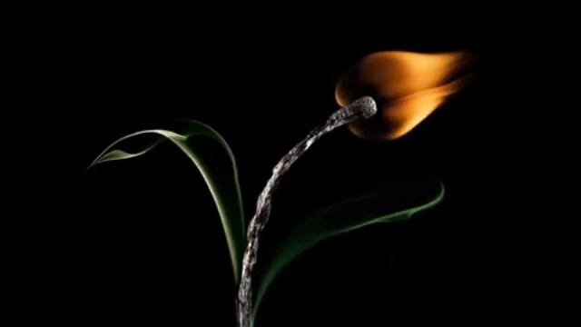 BANA  SENI  GEREK  SENI  FERIT  TURA