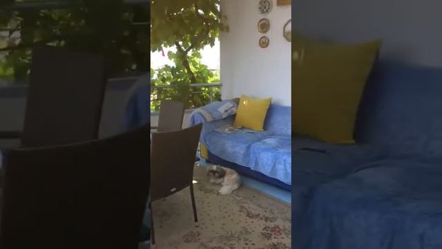 Эврика смотреть онлайн