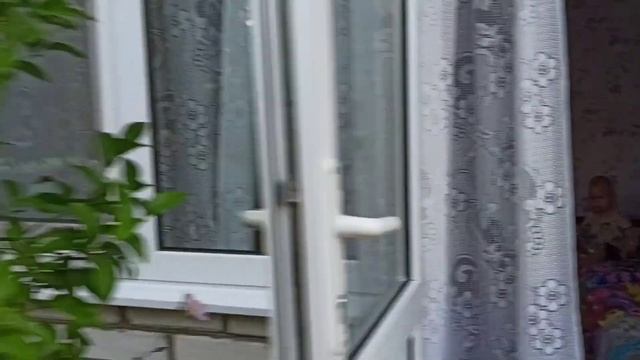 #гостевойдомгалини#кабардинка#геленджик2024#коллективная20#обзор смотреть онлайн