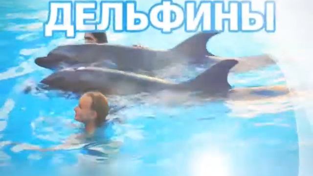 Нарезка НЕМО Бич Клаб смотреть онлайн